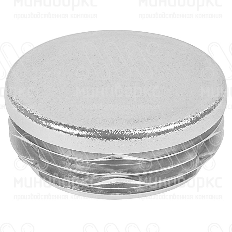 Заглушки для круглой трубы 50 – 50ПХС | картинка 1